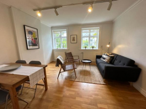 Apartment in downtown Reykjavik - Birta Rentals